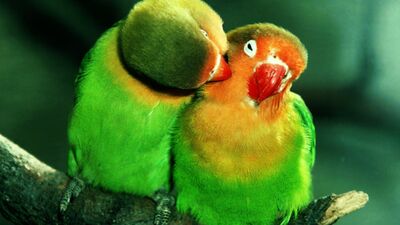 İlişkinizi iyileştirmenin 101 yolu