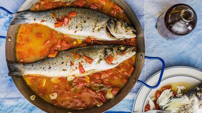 Çılgın suda levrek