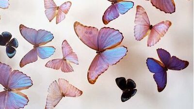 İnsan neden kendini patlatır?