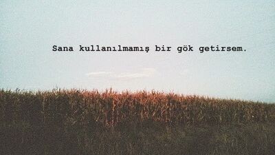 Attila İlhan'ın ardından...