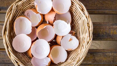 Yumurta kabuğunun mucizeleri