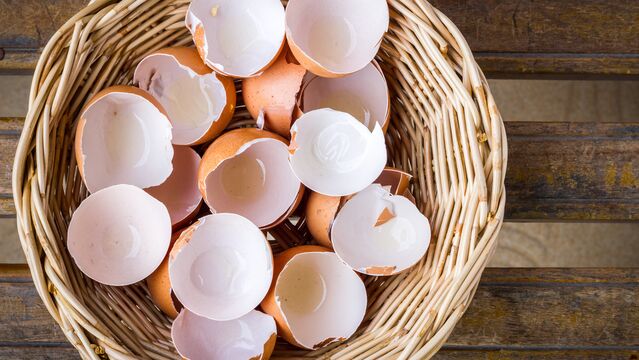 Yumurta kabuğunun mucizeleri