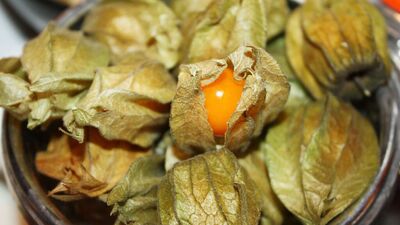 Altın çileğin faydaları