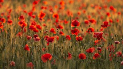 Daha mutlu olmanın 4 yolu