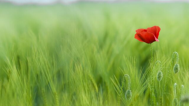 Yalnız başınıza vakit geçirmek için 9 sebep