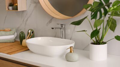 Bu bitkiler banyonuza iyi gelecek!