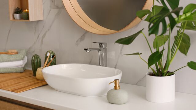 Bu bitkiler banyonuza iyi gelecek!