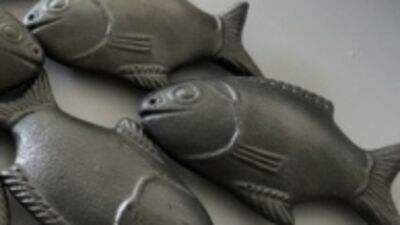 Anemiye yeni çözüm: Demir balık