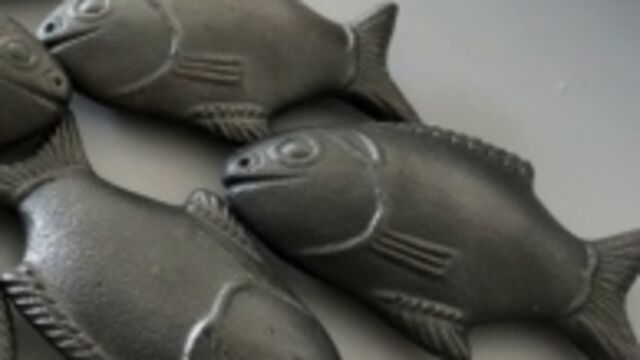 Anemiye yeni çözüm: Demir balık