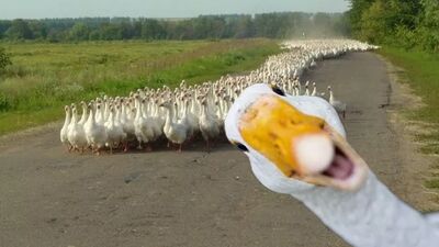 Fotoğraflarda mükemmel görünmeniz için 7 hile