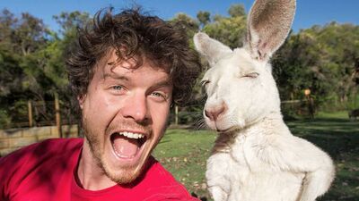 Hayvanlarla selfie çekerse...