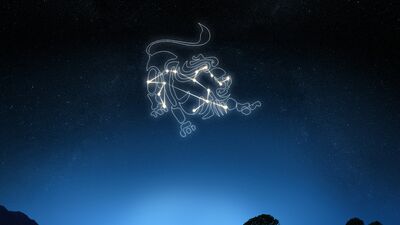 Aslanlar 2016'da para konusunda şanslı