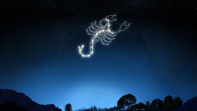 2016, Akrepler için aşk ve yeni fırsatlar yılı