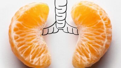 Grip zatürreye çevirir mi?