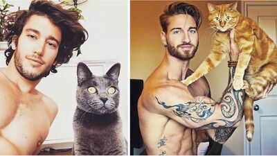 Yerinde olmak isteyeceğiniz kediler