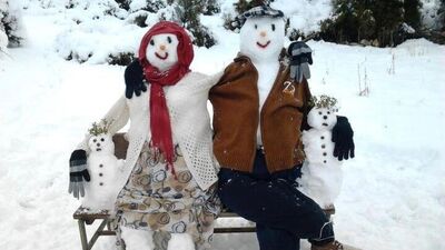 En yaratıcı kardan adamlar