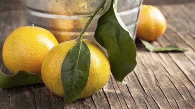 Mandalina günlüğü