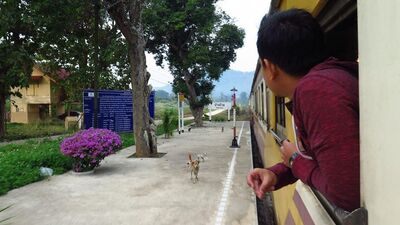 Yol Hikayeleri: Chiang Mai