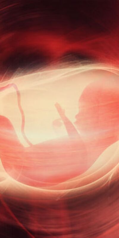 Yumurta dondurma işlemi nasıl yapılır?