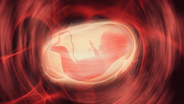 Yumurta dondurma işlemi nasıl yapılır?