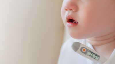 El-ayak ve ağız hastalığı nasıl bulaşır?