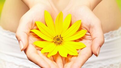 Hymenoplasty: Kadınlar neden tercih ediyor?