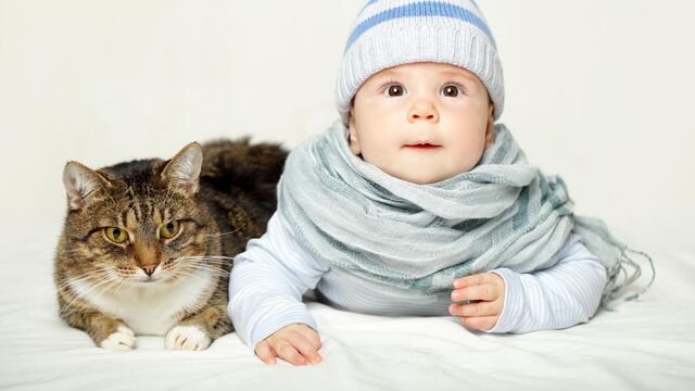 Bebeklerde besin alerjileri