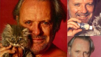 Ünlü erkekler kedileriyle!