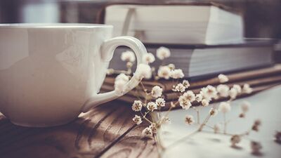 Bu 24 kitap büyülüyor!