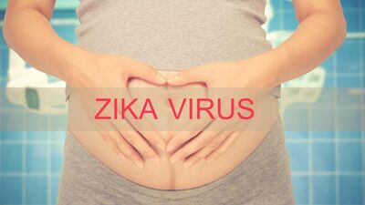 Zika virüsüne karşı 'seyahat' uyarısı