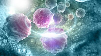 Kanserde yeni tedavi yöntemi: T hücre tedavisi