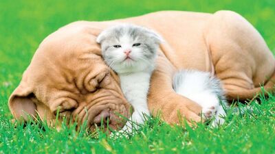 Bahar yorgunluğundan az etkilenmek için ipuçları