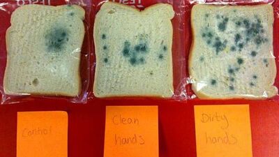 Anne neden ellerimi yıkamalıyım?