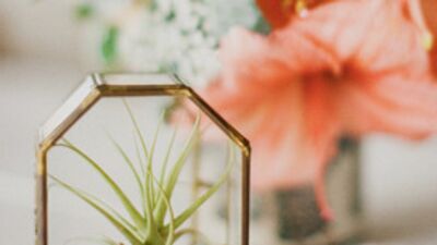 El yapımı geometrik teraryumlar