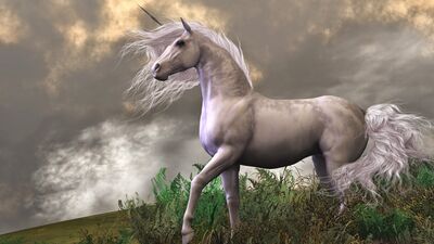 Unicorn gerçekmiş!