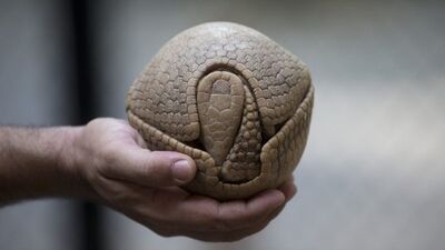 Daha önce görmediğiniz 17 ilginç fotoğraf