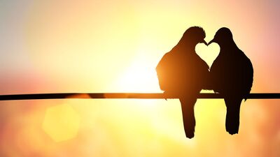 Neden aşık oluyoruz?