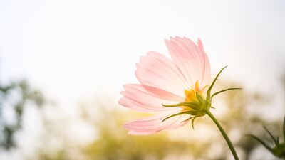 Farkındalık ve mutluluğa dair 10 basit öneri