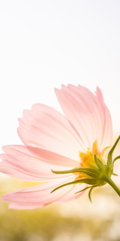 Farkındalık ve mutluluğa dair 10 basit öneri