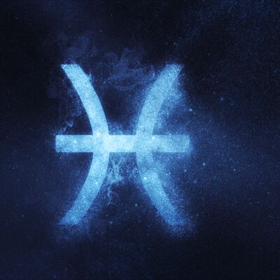 Balık burcu erkeği nelerden hoşlanır?