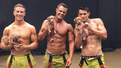 İtfaiyeciler sahipsiz hayvanlar için çalışıyor!