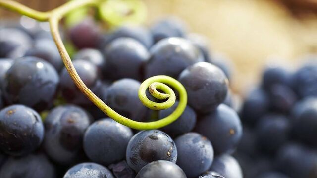 Vajina nasıl beyazlatılır?