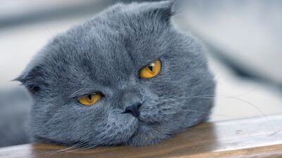 Kalabalıklar sizi bunaltmasın