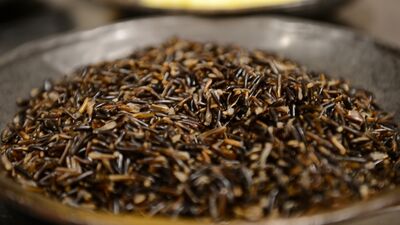 Tahıl grubunun en değerlisi yabani pirinç