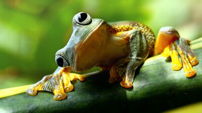 Siğillerden kurtulmanın en basit yolu