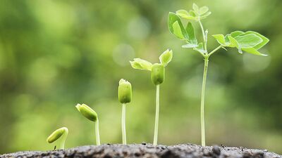 Her çocuk farklı büyür