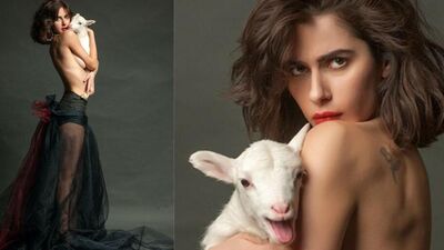 Nesrin Cavadzade hakkında her şey