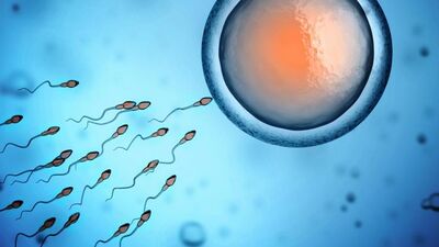 Çip bebek yöntemiyle gebelik şansı artıyor