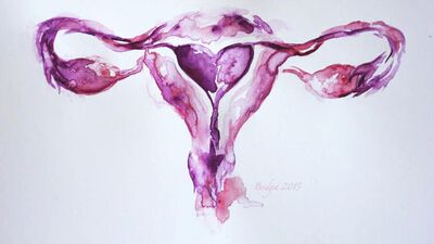 Sağlıklı menstrual döngü nasıl olmalıdır?