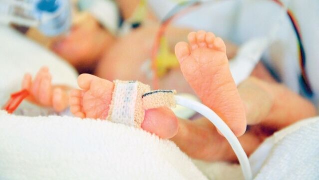 El kadar doğdu gül gibi büyüsün!